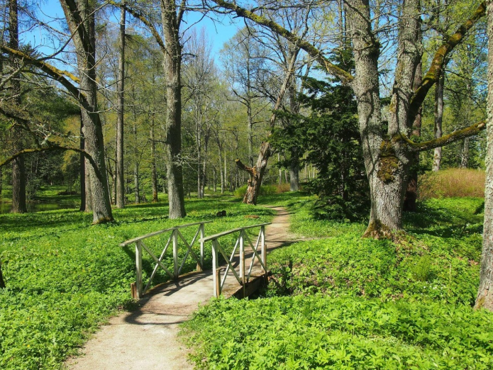 Luua Metsanduskooli puukool-arboreetum, Estonia